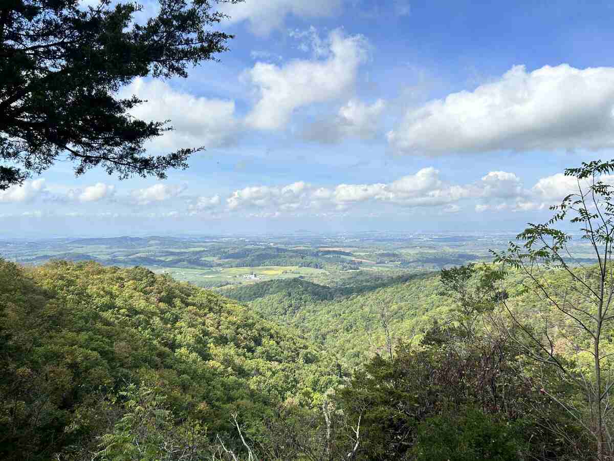 Countryside with mountains covered in green trees and blue sky with clouds